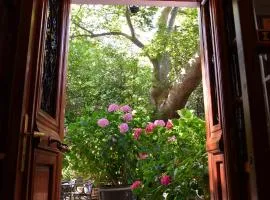 Hotel Filoxenia