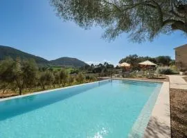 Fincahotel Treurer - Olive Grove & Grand House - Adults Only