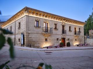 Palacio de Samaniego - 0