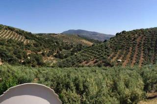 Elegant Villa in Granada with Pool and Garden - 4