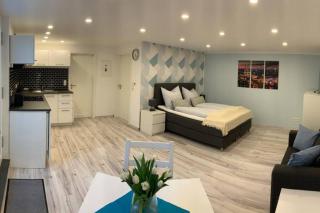 Modern renovated apartment suited for business consultants - in close distance to DT, DHL and UN campus - reserved parking - 0