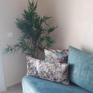 Appart. Luxueux avec piscine, cosy, bien situé - 4