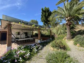 LAS PALMERAS - 7