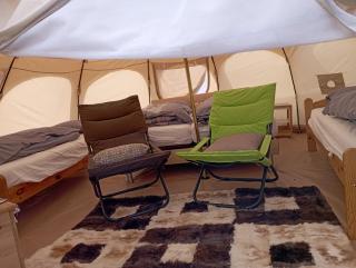 Natuur-like Glamping in Bosland - 6