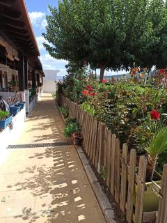 Casa Rural Alamillo - 5