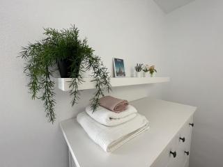 Beautiful 3 Bd. Apartment in La Laguna City Centre - 4