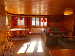 Chalet Singlinaz - 1