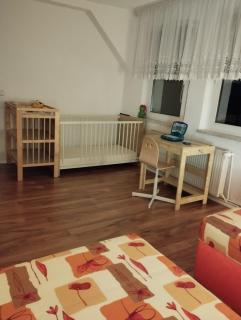 Ferienwohnung mit Elbwiesenblick - 8