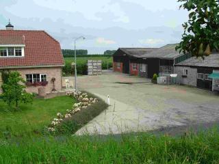 Chalet Goudrenette - 1