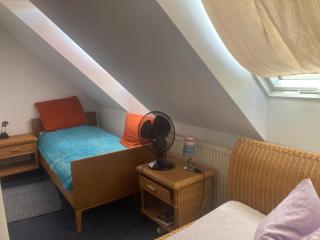Alter Rhin - 1
