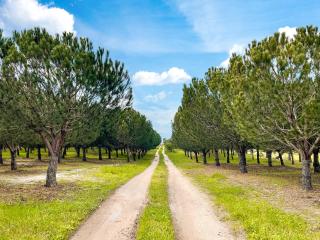 Quinta do Cutato - Beatriz Guest House - A1 - 1