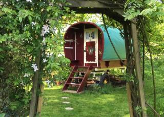 Fernwood - Ringwood - 9