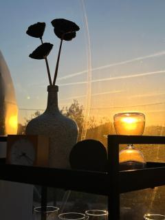 SUITE 19 BUBBLE BY CORTIJO COLOMO - 2