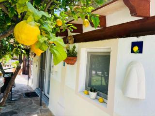 Casita Limón Andratx - 5
