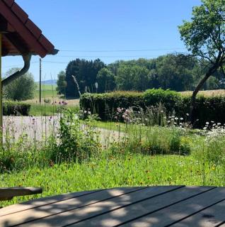 Urlaub mit Hund auf dem Bauernhof Hofswald - 1