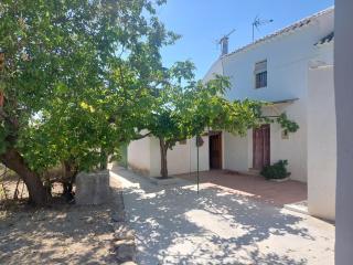 Dehesilla Olive Orchard Retreat - 4